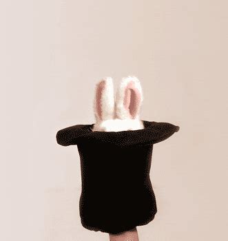 rabbit out of a hat gif